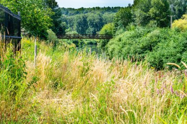 Kent, Washington 'daki Van Doren' s Landing Park 'tan manzara.
