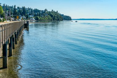 Redondo Beach, Washington 'da deniz kıyısında evleri olan küçük bir koy..