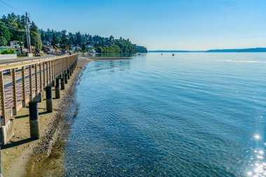 Redondo Beach, Washington 'da deniz kıyısında evleri olan küçük bir koy..