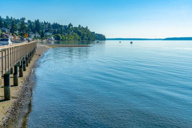 Redondo Beach, Washington 'da deniz kıyısında evleri olan küçük bir koy..