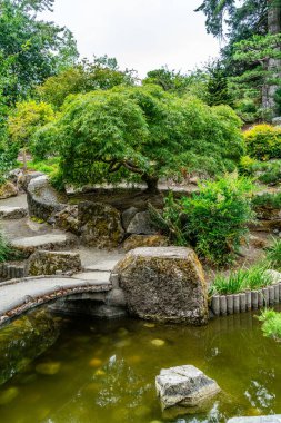 Seatac, Washington 'da taşlı ve ağaçlı bir Japon bahçesi manzarası.
