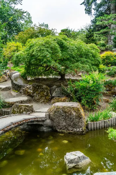 Seatac, Washington 'da taşlı ve ağaçlı bir Japon bahçesi manzarası.