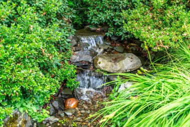 Seatac, Washington 'daki bir bahçedeki küçük bir derenin yakın çekimi..