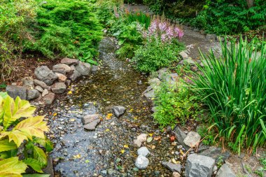 Seatac, Washington 'daki bir derenin ve bahçenin manzarası..