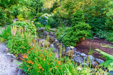 Seatac, Washington 'daki bir derenin ve bahçenin manzarası..