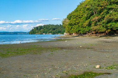 Dash Point, Washington 'daki kıyı şeridinin manzarası..