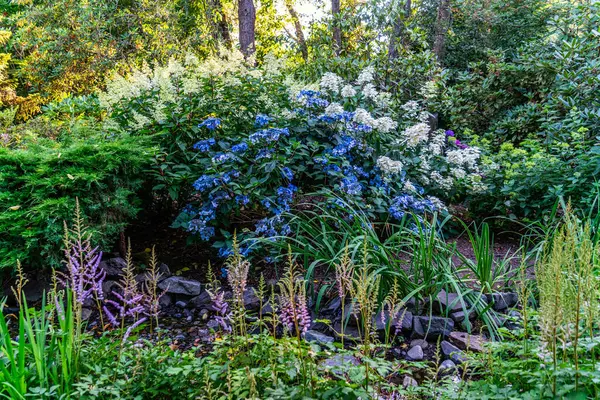 stock image Plants and flowers at a garden in Seatac, Washington.