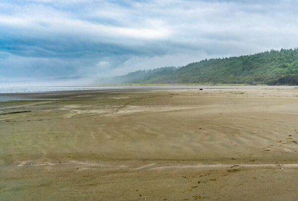 A view of a foggy shoreline in Moclips, Washington.