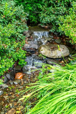 Seatac, Washington 'daki bir bahçedeki küçük bir derenin yakın çekimi..