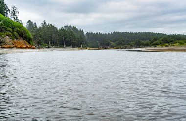 Washington 'da Pasifik Okyanusu' na akan Moclips Nehri manzarası.