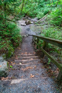 A view of stairs at Schmitz Pakr in West Seattle, Washington. clipart