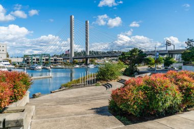 Tacoma, Washington 'daki Foss Waterway üzerindeki asma köprü manzarası..