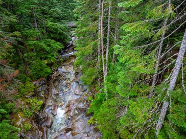 Washington 'daki Denny Creek' in yukarıdan görünüşü.