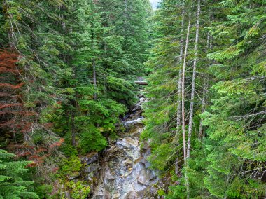 Washington 'daki Denny Creek' in yukarıdan görünüşü.
