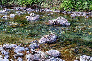 North Bend, Washington 'da bir nehir manzarası.