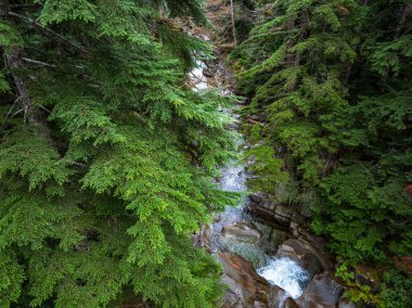 Washington 'daki Denny Creek' in yukarıdan görünüşü.