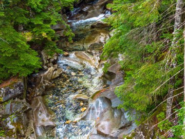 Washington 'daki Denny Creek' in yukarıdan görünüşü.