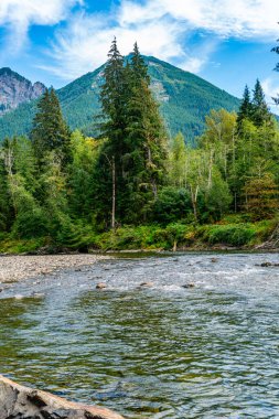 Snoqualmie Nehri manzarası ve Washington 'daki dağlar.
