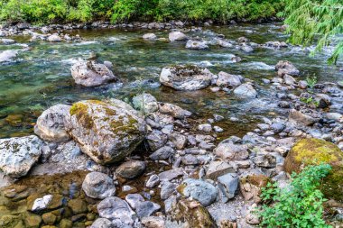 North Bend, Washington 'da bir nehir manzarası.