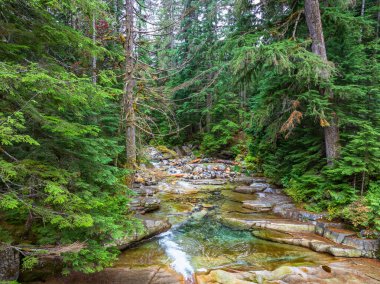 Washington 'daki Denny Creek' in yukarıdan görünüşü.