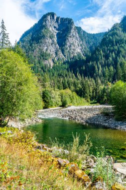Büyüleyici bir dağ manzarası, Washington 'da bir nehir ve orman ağaçları. Statel