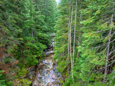Washington 'daki Denny Creek' in yukarıdan görünüşü.