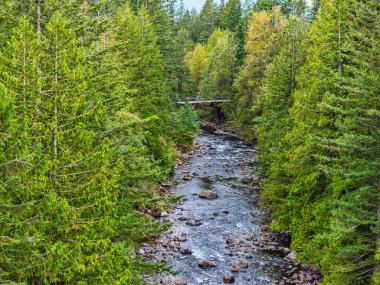 North Bend, Washington 'daki bir drondan Snoqualmie Nehri manzarası.