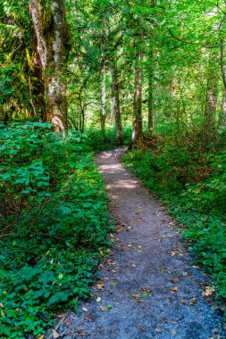 Washington, North Bend 'deki Si Dağı' nda bir saklanma yeri..