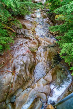 Washington 'daki Denny Creek' te su taşların arasından akıyor..