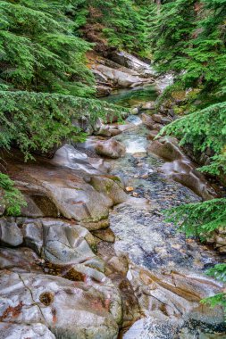 Washington 'daki Denny Creek' te su taşların arasından akıyor..