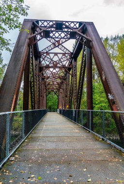 North Bend, Washington 'daki Reinig yaya köprüsünün manzarası.