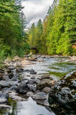 North Bend, Washington 'da nehir üzerindeki bir köprü manzarası.