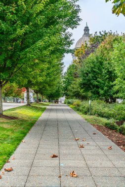 Olympia 'daki Washington State' in başkentinde bir yürüyüş yolu..