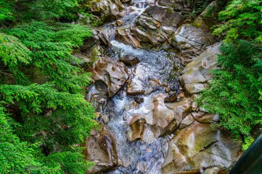 Washington 'daki Denny Creek' te su taşların arasından akıyor..