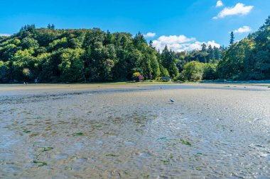 Washington eyaletindeki Dash Point Eyalet Parkı 'nın kıyı şeridi manzarası.