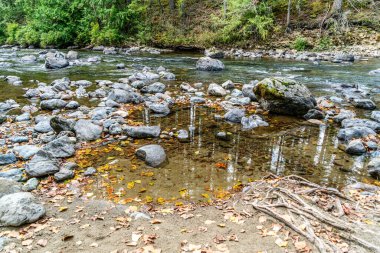 North Bend, Washington 'daki Snoqualmie Nehri yakınlarındaki kayalar..