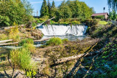 Tumwater, Washington 'daki Brewery Park' ta bir şelale manzarası.