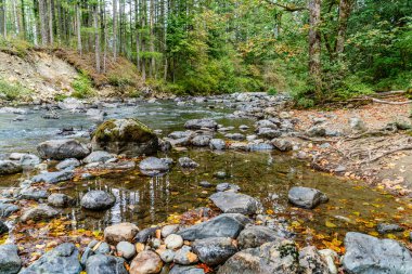 North Bend, Washington 'daki Snoqualmie Nehri yakınlarındaki kayalar..