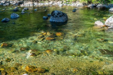 North Bend, Washington 'daki Snoqualmie Nehri' nde kayaların yakın plan çekimi..