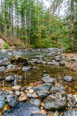 North Bend, Washington 'daki Snoqualmie Nehri yakınlarındaki kayalar..