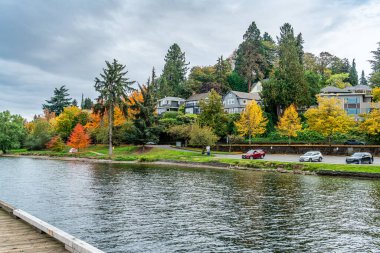 Seattle 'da Washington Gölü kıyısında evler ve sonbahar yaprakları.