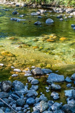 North Bend, Washington 'daki Snoqualmie Nehri' nde kayaların yakın plan çekimi..