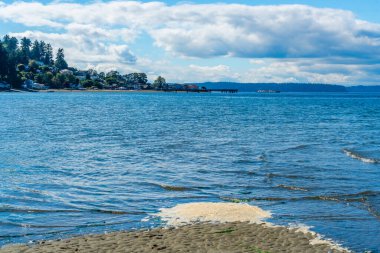 Dash Point, Washington 'daki sahil kenarındaki evlerin manzarası.