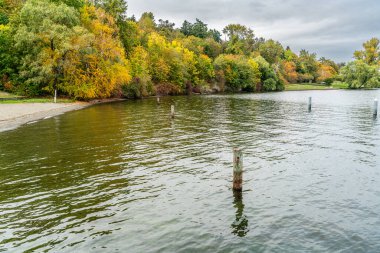 Washington 'da Washington Gölü boyunca sonbahar ağaçları olan bir rıhtım ve kıyı manzarası.