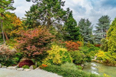 Sonbaharda Kubota Gardens 'ın manzara fotoğrafı. Seattle, Washington 'da..