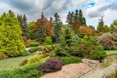 Sonbaharda Kubota Gardens 'ın manzara fotoğrafı. Seattle, Washington 'da..