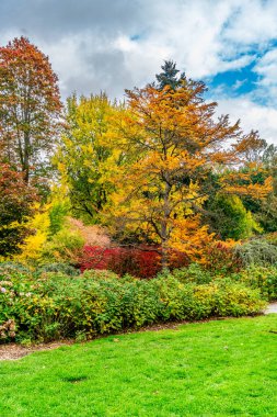 Sonbaharda Kubota Gardens 'ın manzara fotoğrafı. Seattle, Washington 'da..