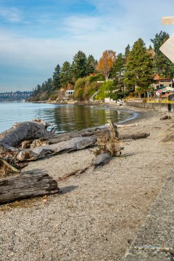 Washington 'da evleri olan Redondo Plajı manzarası.