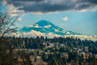 Aralık ayında Washington, Burien 'den Rainier Dağı manzarası. Ön plandaki evler.