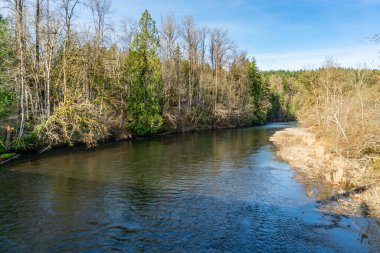 Washington 'daki Flaming Geyser State Park' taki Green River manzarası. Kış geldi..